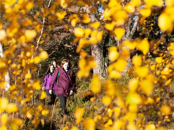 Autumn walking vacation in the Scottish Highlands