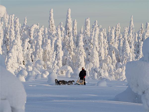 Finland winter activity vacation & Northern Lights