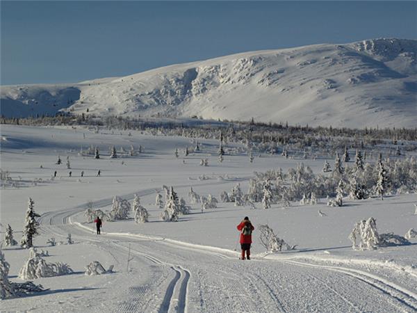 Venabu cross country skiing vacation in Norway