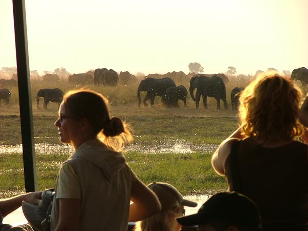 Zimbabwe & Botswana game tracker safari