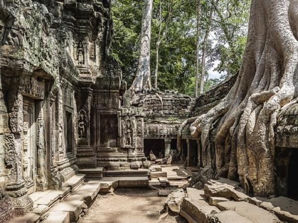 Cambodia tailor made tour, nature & heritage