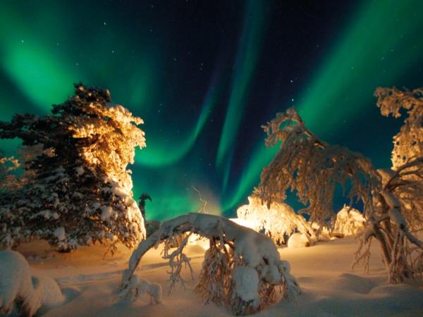Christmas or New Year 2023 in Lapland