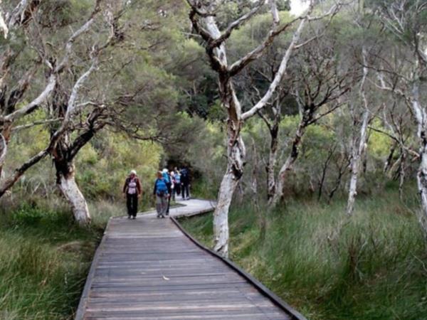 Bibbulmun Track guided group walk, Australia