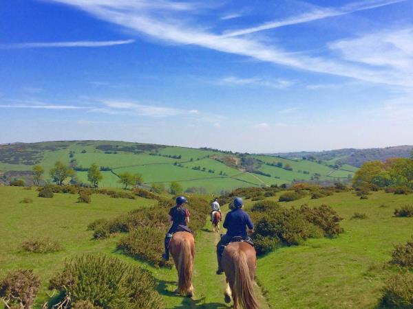 Horseriding short break, Wye Valley