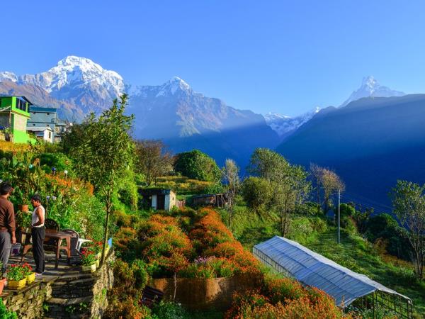 Ghorepani Poon Hill trek in Nepal